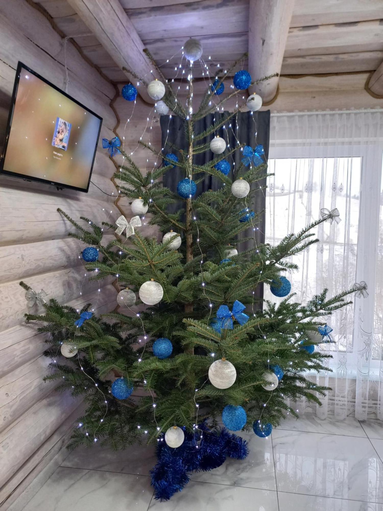 шепіт лісу Laseschtschyna